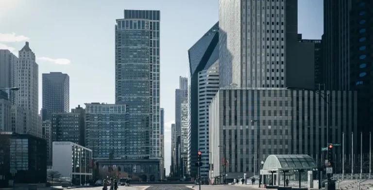 Marketing Lions regionale suchmaschinenoptimierung